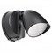 Lightstar Светильник светодиодный уличный Diva Lightstar 374137 374137 - фото 109002
