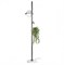LOFT IT 10121/F Dark grey Торшер Jardin 10121/F Dark grey - фото 109322