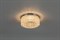 Comtech TEFIA Светильник точечный штампованный с крист,50W, ГЛН/LED/КЛЛ GU5.3, IP20, 12V,хром 1503322 - фото 109796