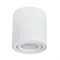 Arte Lamp A5559PL-1WH FANG Точечный накладной светильник GU10 A5559PL-1WH - фото 109924