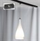 Lussole S.R.L Металл Хром /  Стекло трековый светильник однофазный E27 60W LSF-1106-01-TAB - фото 110574