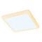 Ambrella Встраиваемый светодиодный светильник с подсветкой DCR333 10W+4W 6400K/3000K 85-265V 120*120*32 DCR333 - фото 115646 Ambrella Встраиваемый светодиодный светильник с подсветкой DCR333 10W+4W 6400K/3000K 85-265V 120*120*32 DCR333 - фото 115646
