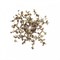 LOFT IT 10101W Gold Бра Spark 10101W Gold - фото 116912