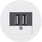 usb зарядка | розетка 260205 | 10382089 Berker - фото 46859