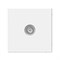 ArtGallery Белый TV Розетка оконечная 1DB, механизм GAL000191 - фото 68780