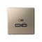 ArtGallery Шампань USB Розетка тип-С 65Вт высокоскоростная зарядка QC, PD, механизм GAL000527 - фото 69458