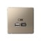 ArtGallery Шампань USB Розетка A + тип-C 45Вт высокоскоростная зарядка QC, PD, механизм GAL000529 - фото 69488