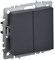 IEK Brite Base графит выключатель 2- клавишный проходной. 10А BR-V22-0-10-K53 - фото 73208