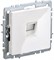 IEK Brite Base белый розетка компьютерная RJ45 кат.6 BR-K10-2-K01 - фото 73470