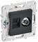IEK SKANDY Графит Розетка двойная TV+RJ45 кат.5E SK-A14G SK-AK20-1-K53 - фото 73895
