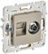 IEK SKANDY Шампань Розетка двойная TV+RJ45 кат.5E SK-A14Sh SK-AK20-1-K37 - фото 73902