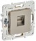 IEK SKANDY Шампань Розетка компьютерная RJ45 кат.5E SK-K01Sh SK-K10-1-K37 - фото 73928