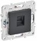 IEK SKANDY Титан Розетка компьютерная RJ45 кат.5E SK-K01T SK-K10-1-K48 - фото 73930