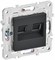 IEK SKANDY Графит Розетка компьютерная двойная RJ45 кат.5E SK-K03G SK-K20-1-K53 - фото 73940