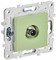 IEK SKANDY Мятный Розетка TV проходная SK-A17G SK-A10-P-K06 - фото 74175