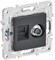 IEK SKANDY Титан Розетка двойная TV+RJ45 кат.6E SK-A15T SK-AK20-2-K48 - фото 74183