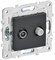 IEK SKANDY Графит Розетка двойная TV+SAT SK-A13G SK-AF20-O-K53 - фото 74188