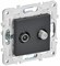 IEK SKANDY Титан Розетка двойная TV+SAT SK-A13T SK-AF20-O-K48 - фото 74201
