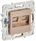 IEK SKANDY Песочный Розетка компьютерная двойная RJ45 кат.5E SK-K03Sa SK-K20-1-K98 - фото 74238