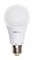 Jazzway Лампа светодиодная (LED) «груша» d60мм E27 240° 7Вт 220-230В матовая нейтральная холодно-белая 4000К .1033185 - фото 89767