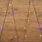 NEON-NIGHT Гирлянда "Шарики" Ø15мм 5м, темно-зеленый ПВХ, 30 диодов, цвет RGB 303-539 - фото 90547