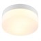 Arte Lamp A6047PL-1WH AQUA-TABLET Светильник потолочный IP44 A6047PL-1WH - фото 95671