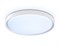 Ambrella Потолочный светодиодный светильник FZ1246 WH белый IP54 12W 5000K D240*60 (Без ПДУ) FZ1246 - фото 96481